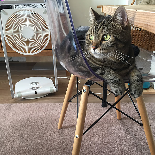 mikomaruさんの実例写真