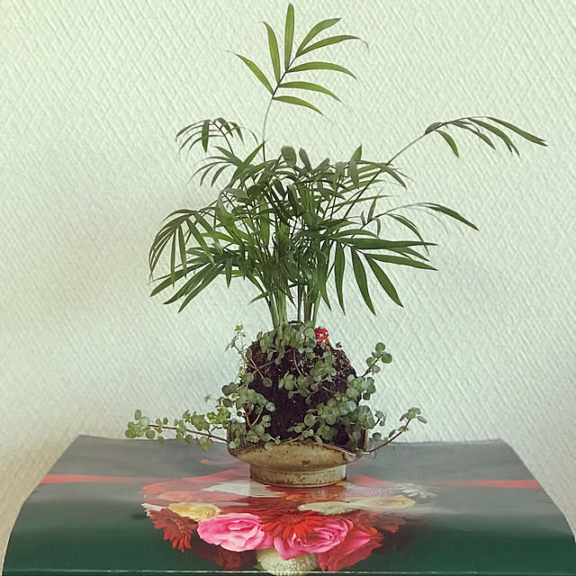 fuyiqian1026さんの実例写真