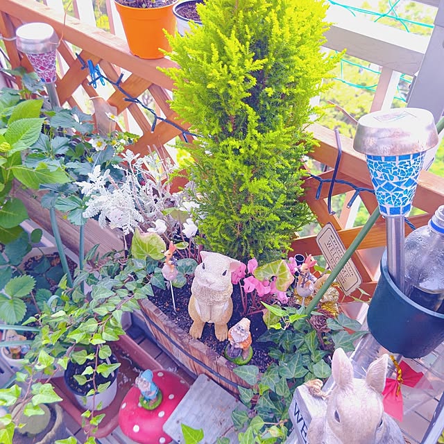 mariaさんの実例写真