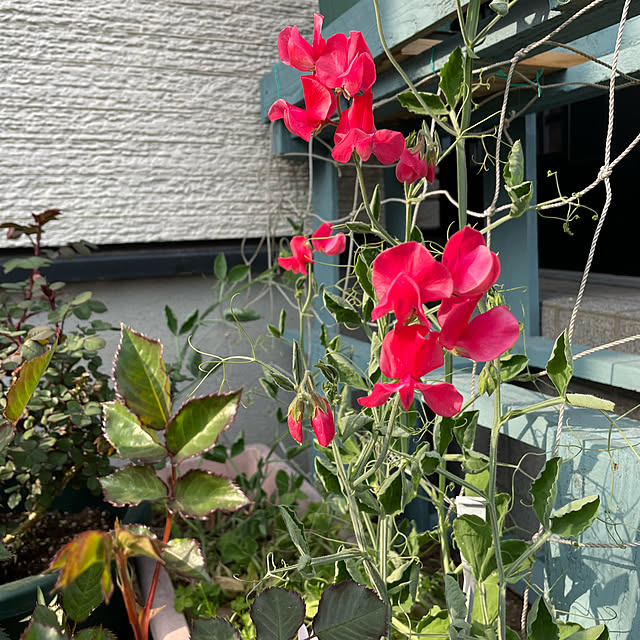 natsumiさんの実例写真