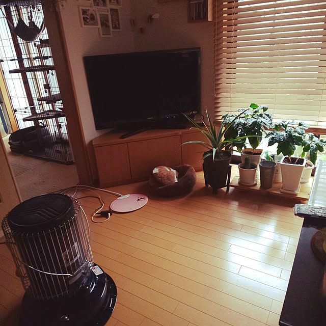 0617さんの実例写真