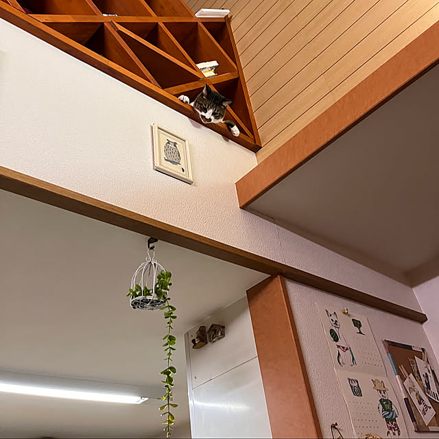jijiさんの実例写真