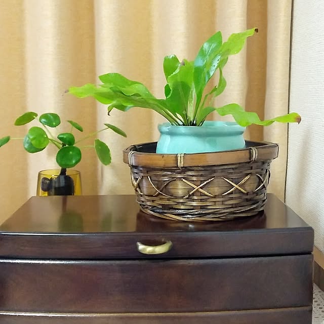 makayokoさんの実例写真