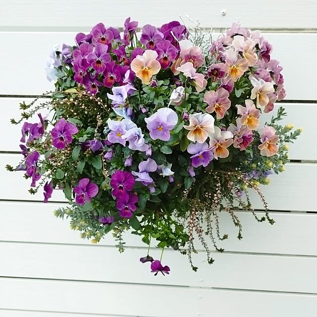 chizutaroさんの実例写真