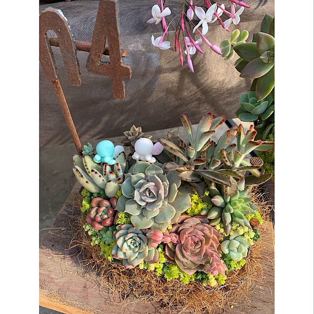 natulove0418さんの実例写真