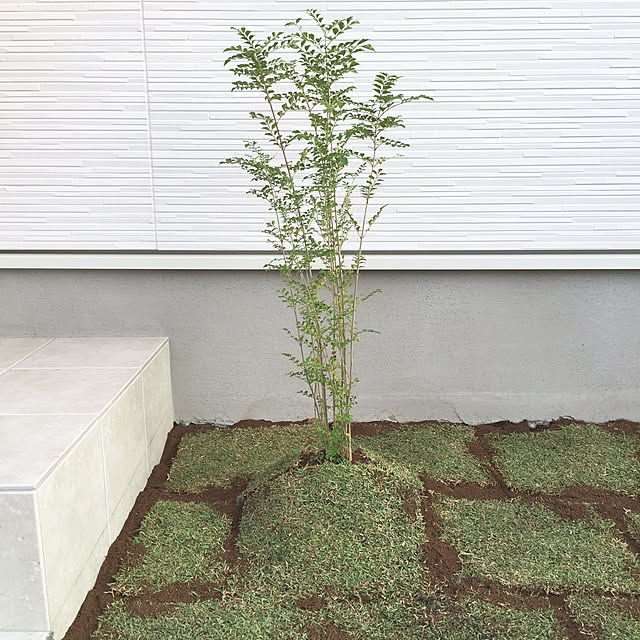 komさんの実例写真