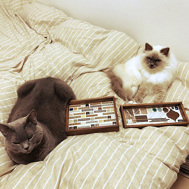 anneさんの実例写真