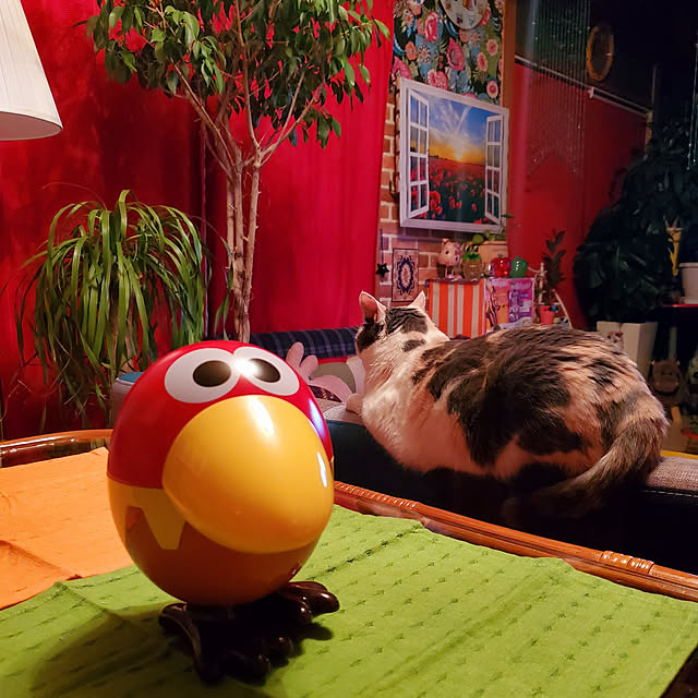 kumutanさんの実例写真