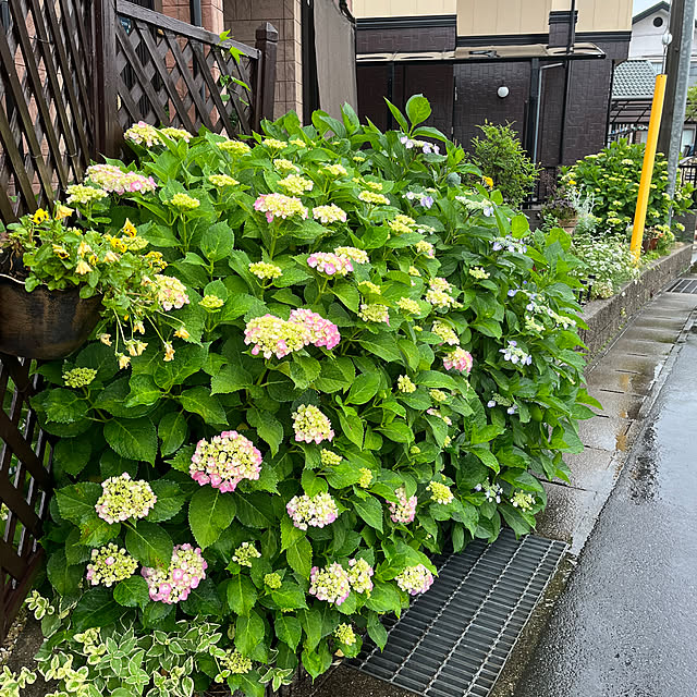 ritsukoさんの部屋
