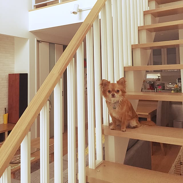 comoさんの実例写真