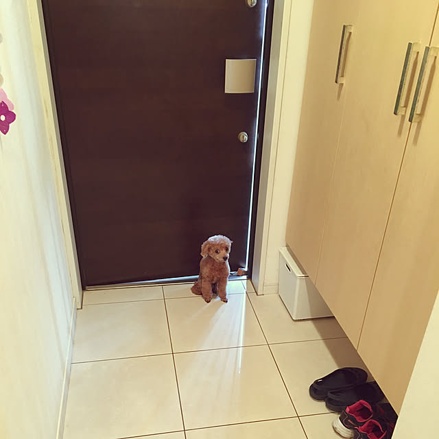 haru._.hanaさんの実例写真