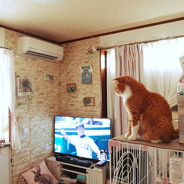 kumingさんの実例写真