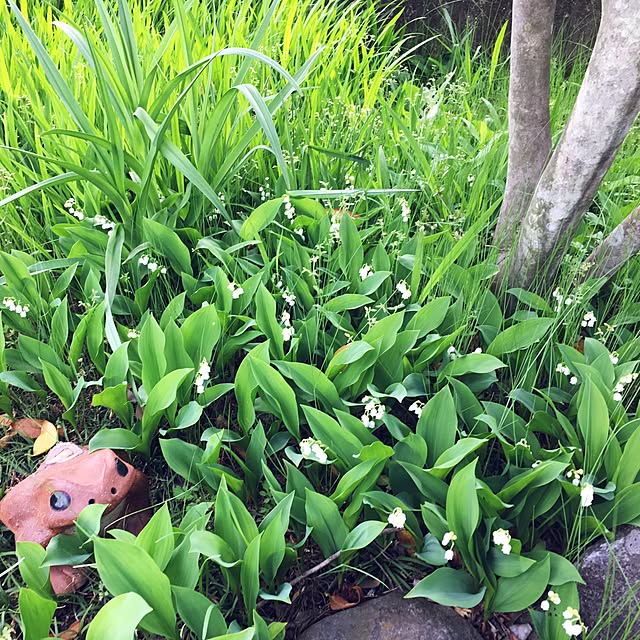 Kimさんの実例写真