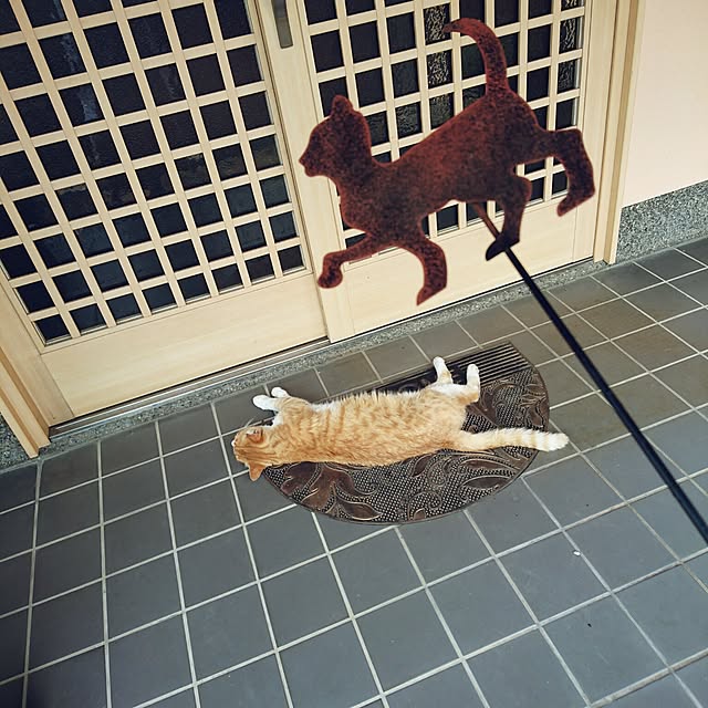 uchizukonyanさんの実例写真