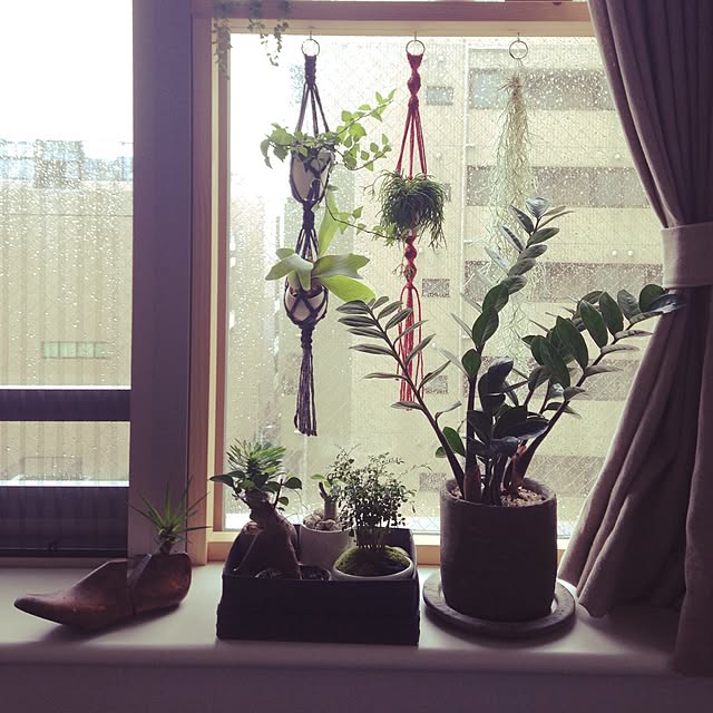 covananaさんの実例写真