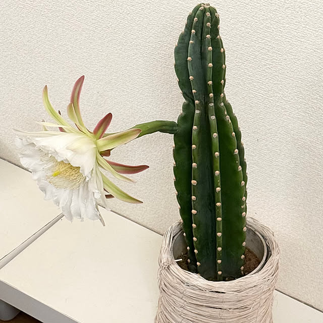 minu5656さんの部屋