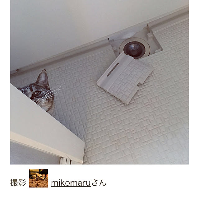 mikomaruさんの実例写真
