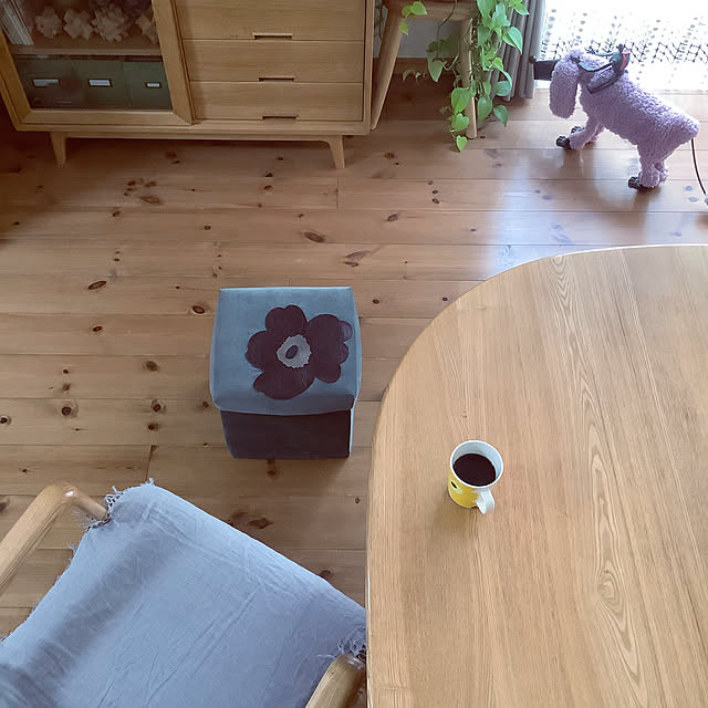 naive.coccoさんの実例写真