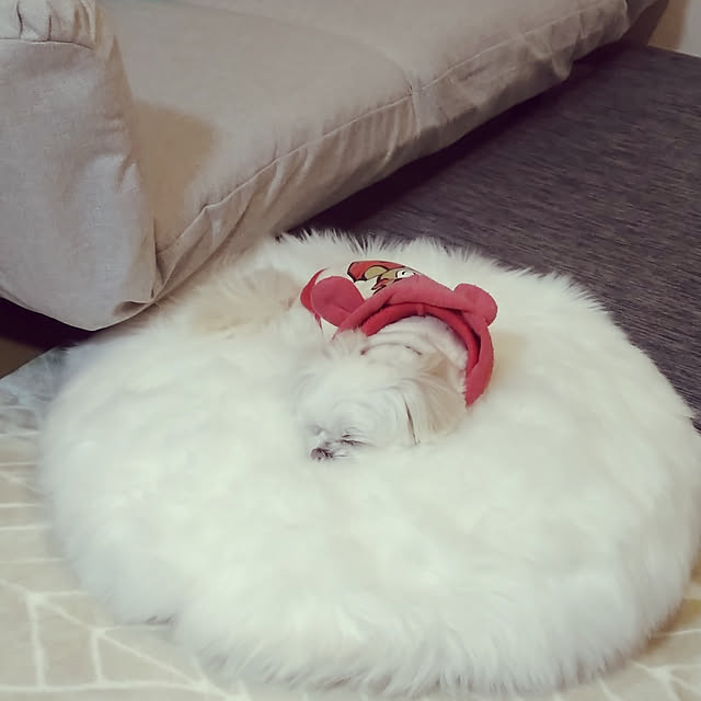 minoさんの実例写真