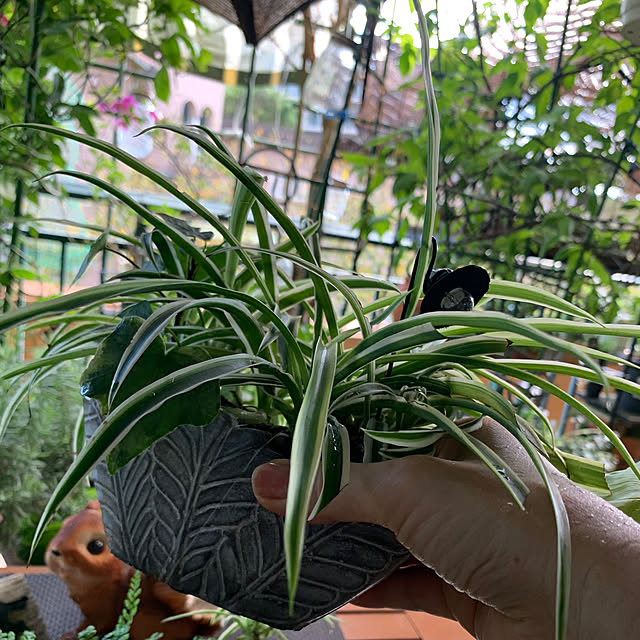 Aqettyさんの部屋