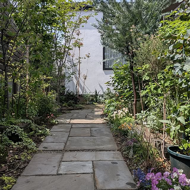 nolleyさんの実例写真