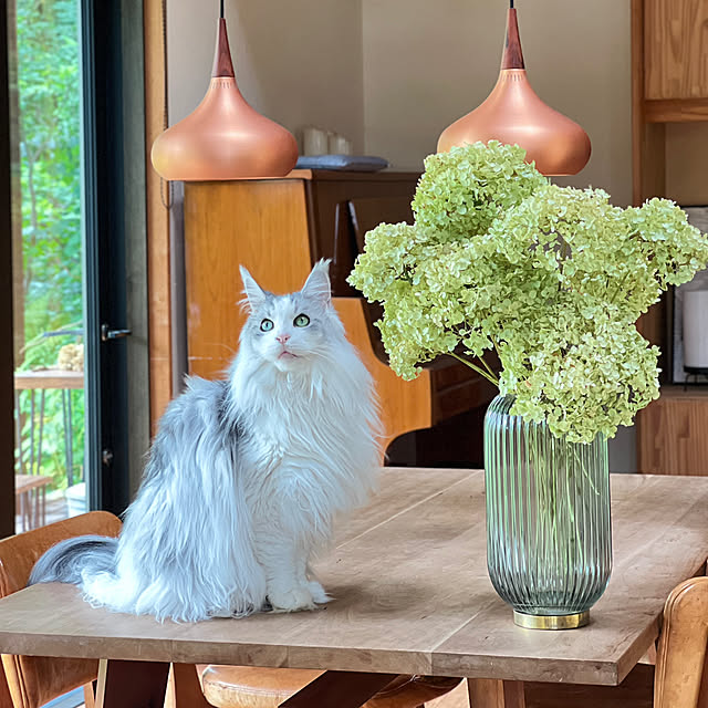 Kikko.さんの実例写真