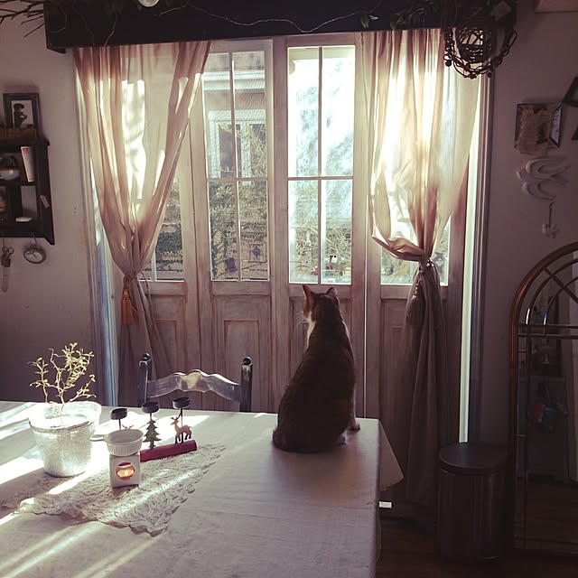 実例写真
