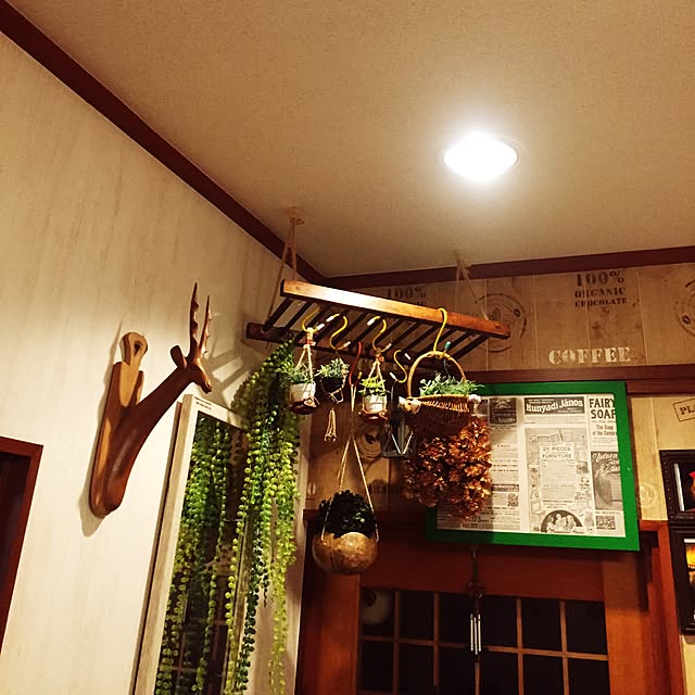 shibaさんの実例写真