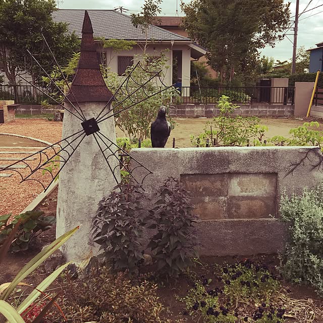 kinokoさんの実例写真