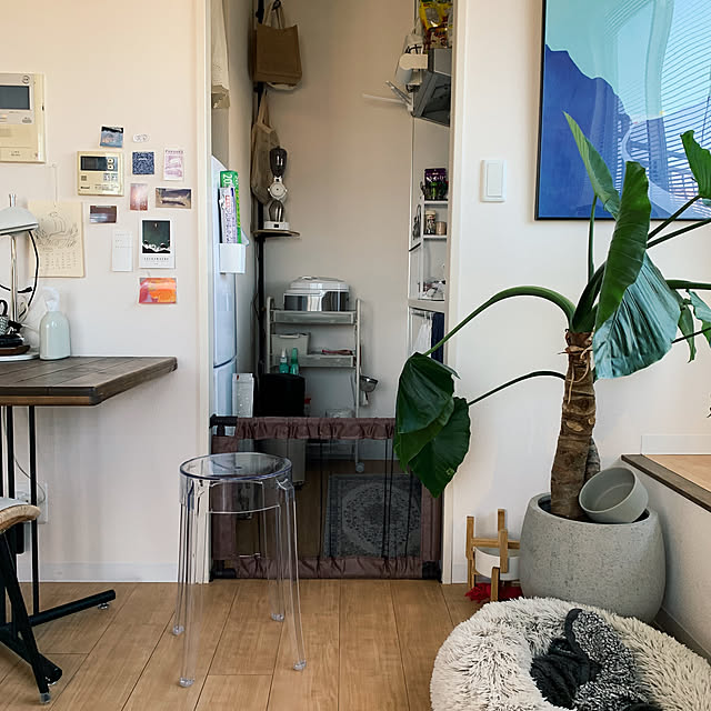 無印良品/本棚/IKEA/観葉植物/植物のある暮らし...などのインテリア実例 - 2023-03-05 17:03:28