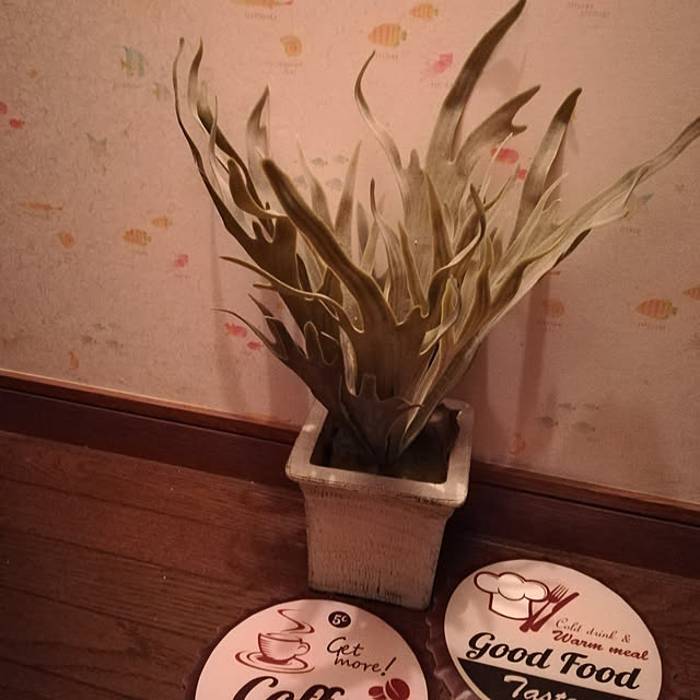 baron2017さんの実例写真
