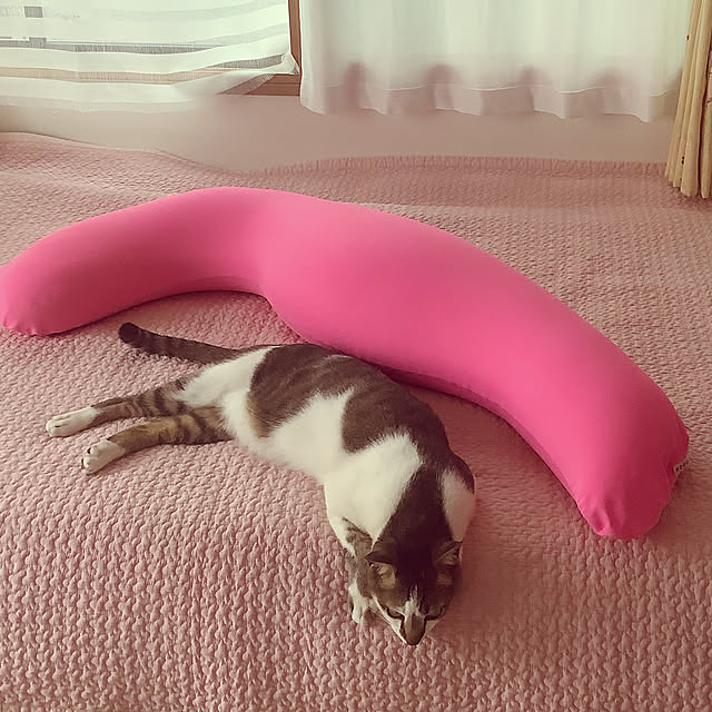 haruminさんの実例写真