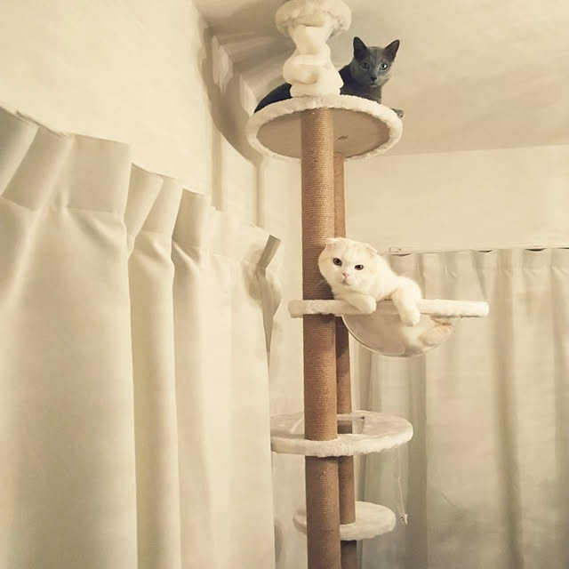 hakuさんの実例写真