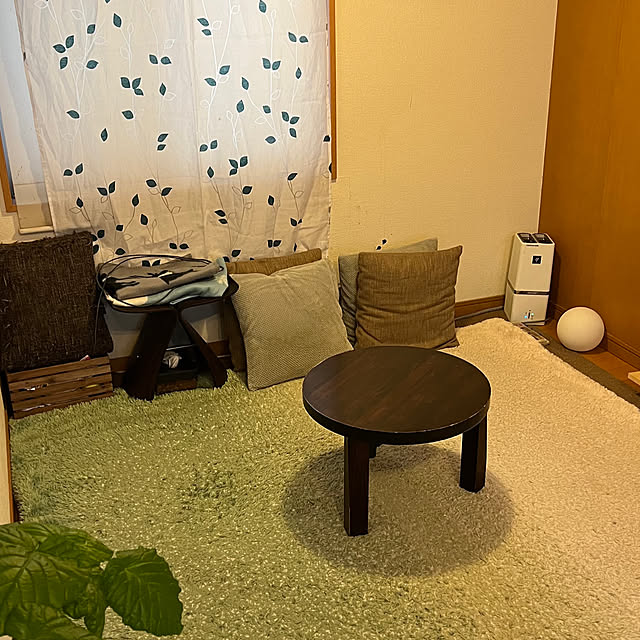 部屋全体/すっきり暮らす/猫/狭小/ねこと暮らす...などのインテリア実例 - 2026-05-08 18:27:45