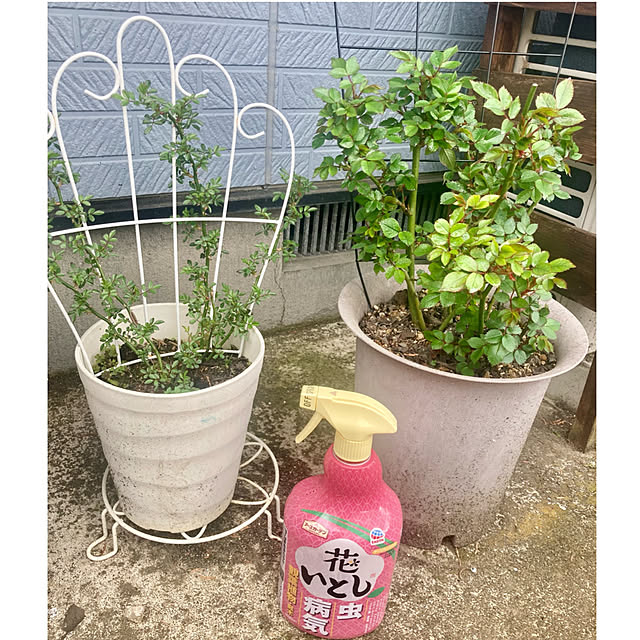 CoCo0617さんの部屋