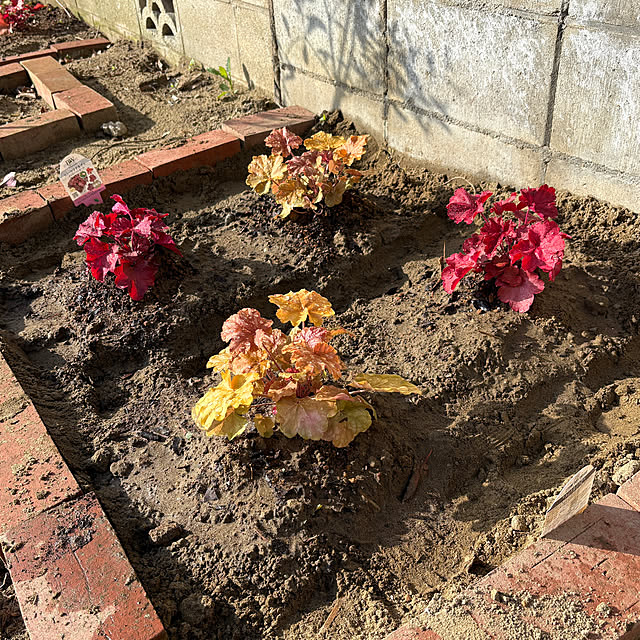 akkeyさんの実例写真