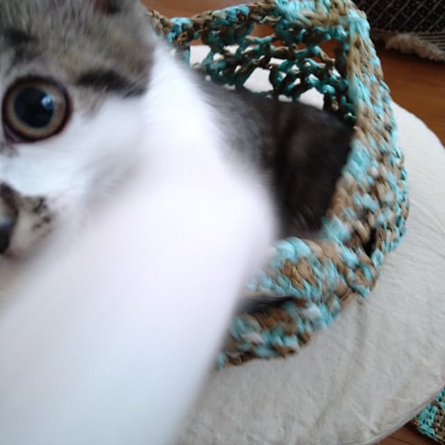 mikisunさんの部屋