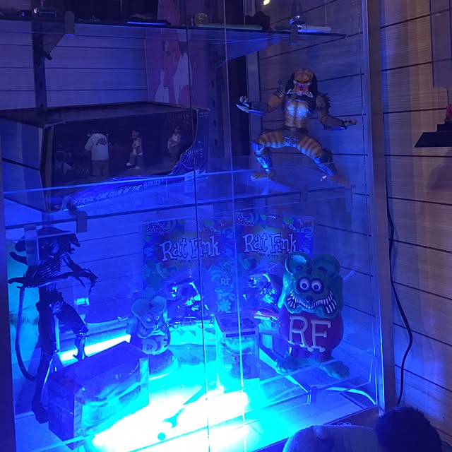 toyさんの実例写真