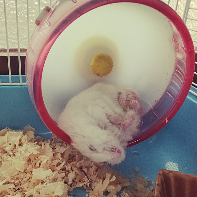 manaさんの実例写真