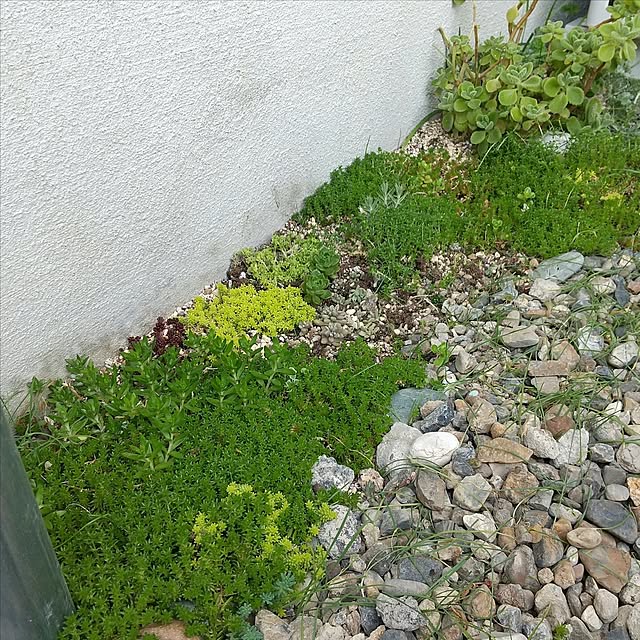 meiさんの部屋