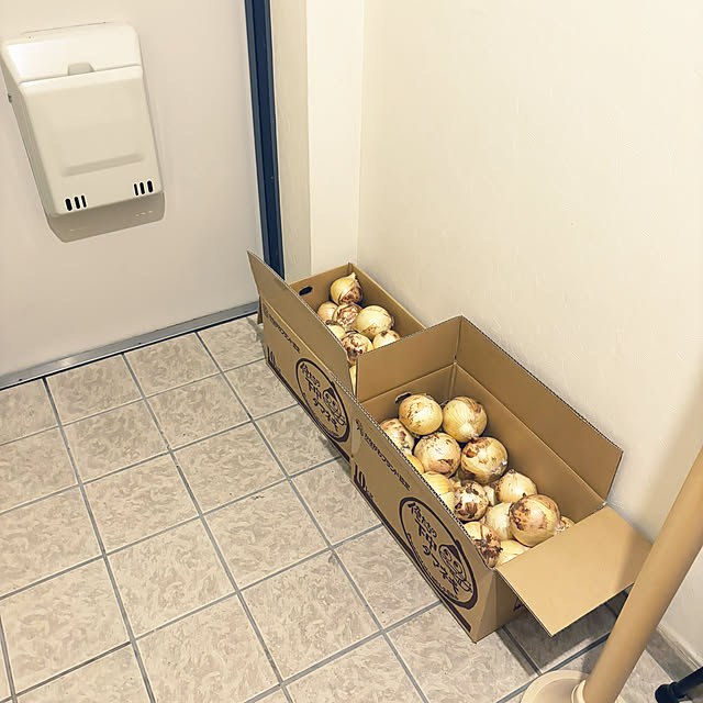 syutmmさんの部屋