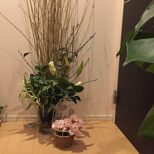 emiさんの実例写真
