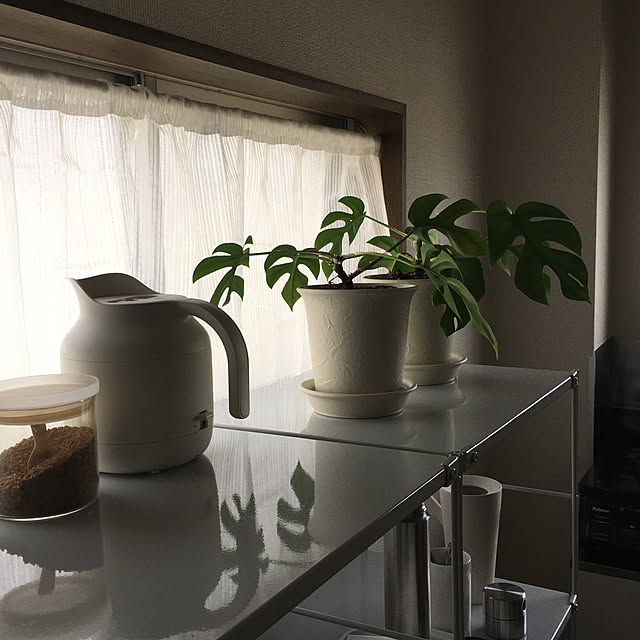 Mt.Tsurugiさんの実例写真