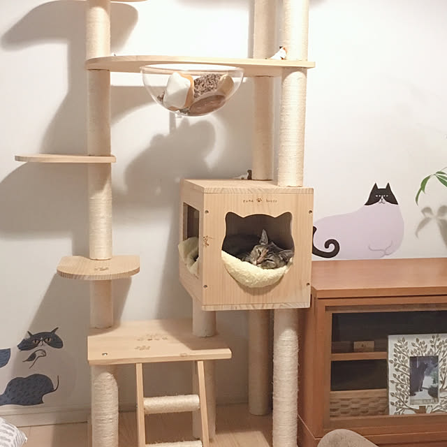 oasisさんの実例写真
