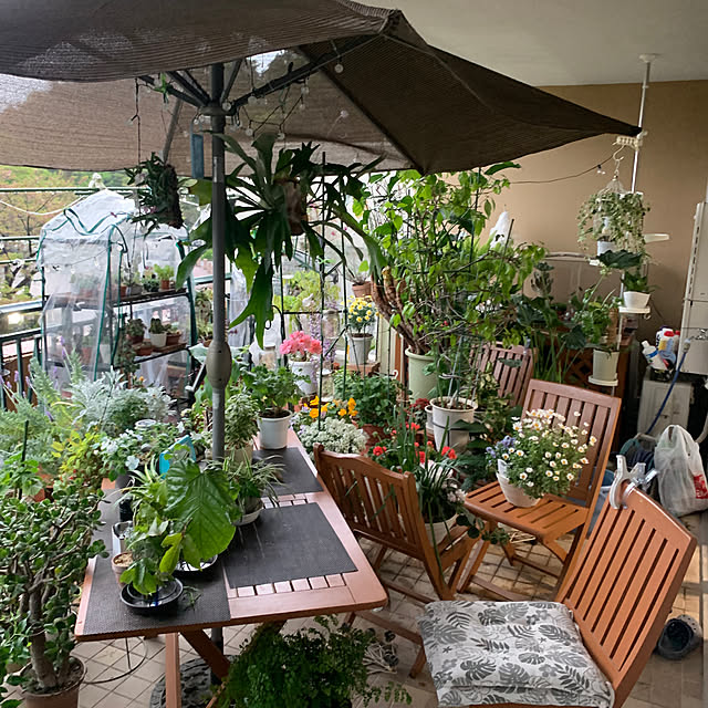 Aqettyさんの部屋