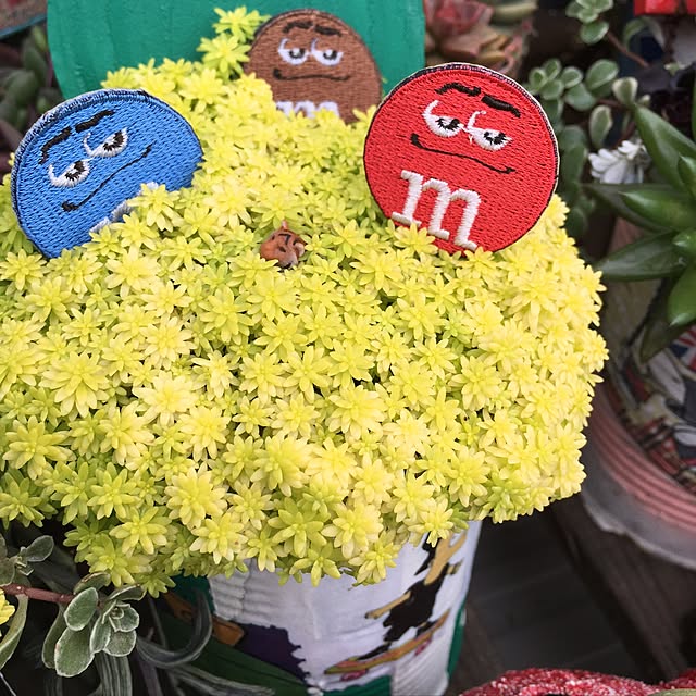bon-bon-hippieさんの実例写真