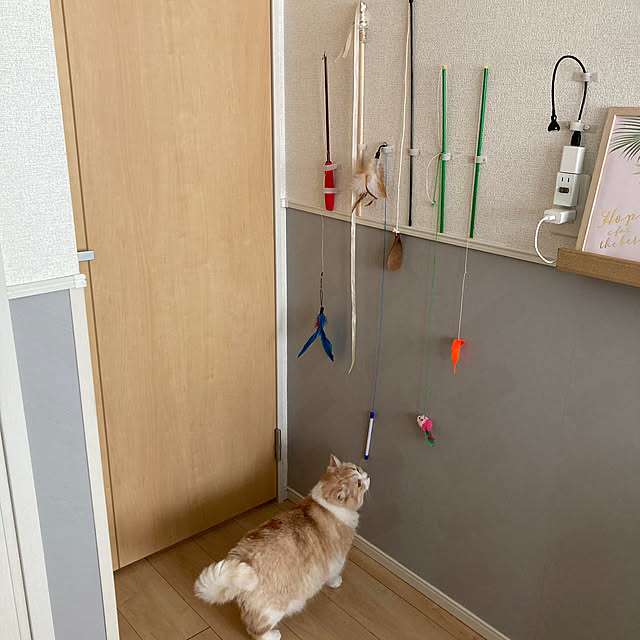 H.Tさんの実例写真