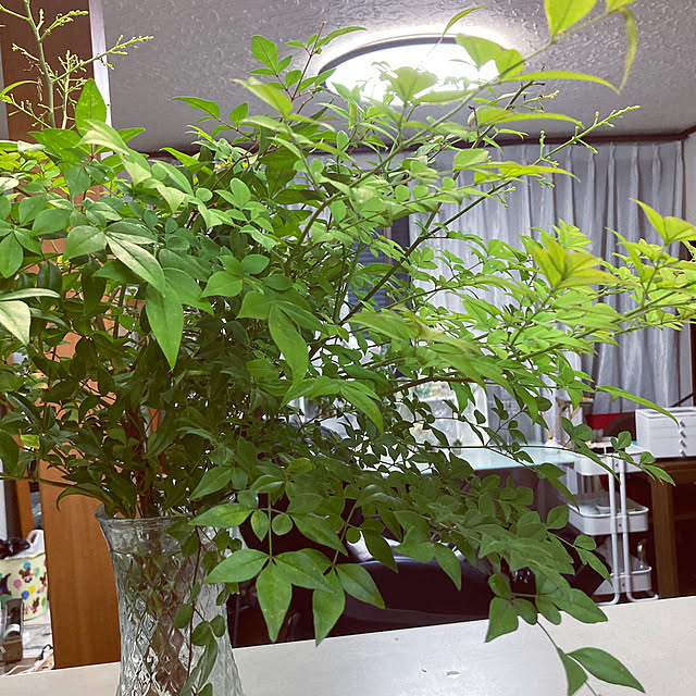 shoさんの実例写真