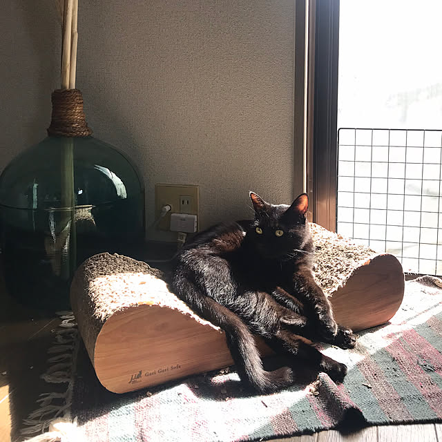 penyrainさんの実例写真