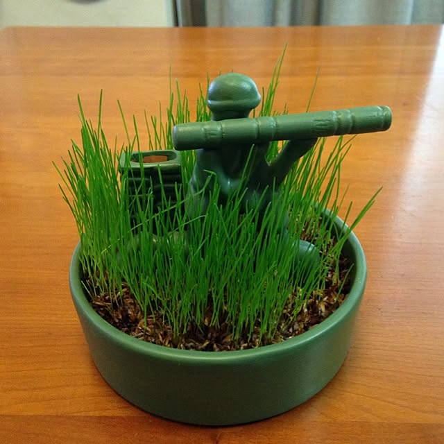 earthgreenさんの実例写真